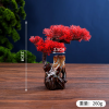 Cây B-mẫu 2