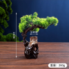 Cây B-mẫu 1